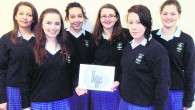 Since the beginning of the school year a group of Transition Year students in St. Mary’s Secondary School has been designing and producing an events website for the North Cork […]