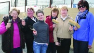 STEPPING IN TO MAKE A DIFFERENCE Part of the Brothers of Charity, Newcastle West, underwent a makeover last Thursday morning when twelve ladies stepped in and voluntarily painted some of the external and perimeter walls. It...