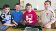 With the approval of ‘Sir’, Bruree NS principal Mr. Jimmy Woulfe, I was invited in to talk to the pupils starting the school garden last week. The plot was almost...