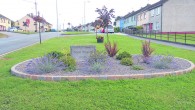 Pride in your home place is clear in the estates around Mallow. From freshly-planted flowers to swept paths and weed free flower beds, the sunny weather has brought to life […]