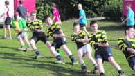 On Saturday 24th August Rathkeale Tug of War Club Youths pullers were part of a 30 man squad that travelled to Mohnesse, Germany to take part in the European GENSB […]