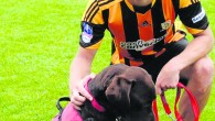 Autism Assistance Dogs Ireland is a national charity providing highly trained Assistance Dogs for children with autism and their families. Our dogs are specially trained to provide safety, independence and […]