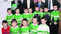   The story of Kilmallock G.A.A.’s illustrious history ‘Our Proud Heritage’ was launched on Saturday evening last in Mainchín Seoighe Library by the President of the G.A.A. Aogán Ó’Fearghail. A […]
