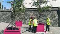 Congratulations to River Valley and Beechwood Park residents’ groups who have made a great effort to tidy up their areas and have received full marks in the Cork County Council […]