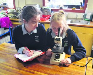 St Mary's students Caoimhe Cronin and Shauna Murphy working on their project for the Young Scientist Exhibition.