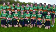 A wonderful weekend for our camogie club as our U15 girls were crowned Division 2 Cork County Feile champions and will represent Cork in the National competition later in the […]