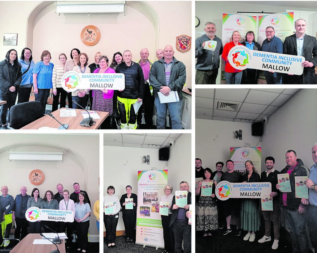 Friends of ASI Mallow receive incredible support for their efforts to ...
